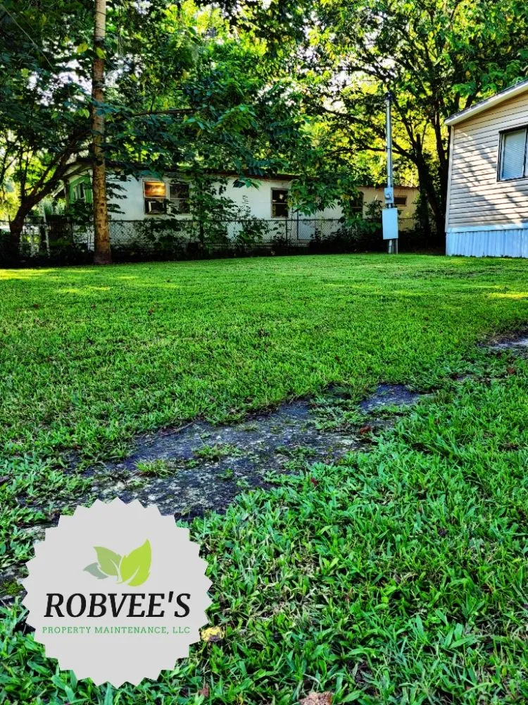 Affordable lawn mowing service in Brooksville, FL by Robvee's Property Maintenance