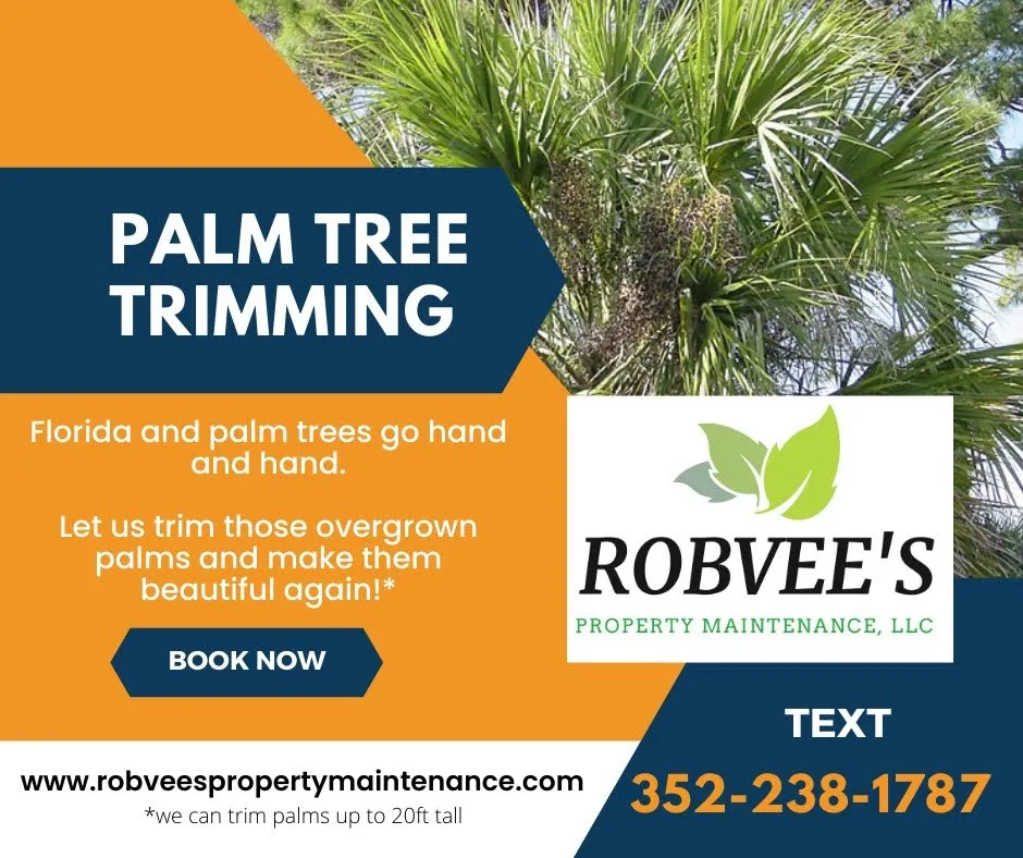 Professional residential landscaping in Brooksville, FL - Robvee's Property Maintenance