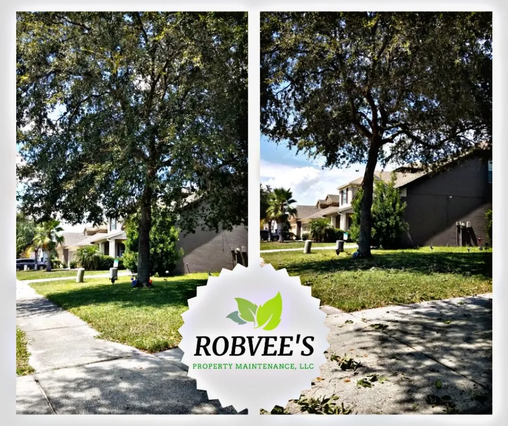 Expert outdoor landscaping in Brooksville, FL by Robvee's Property Maintenance
