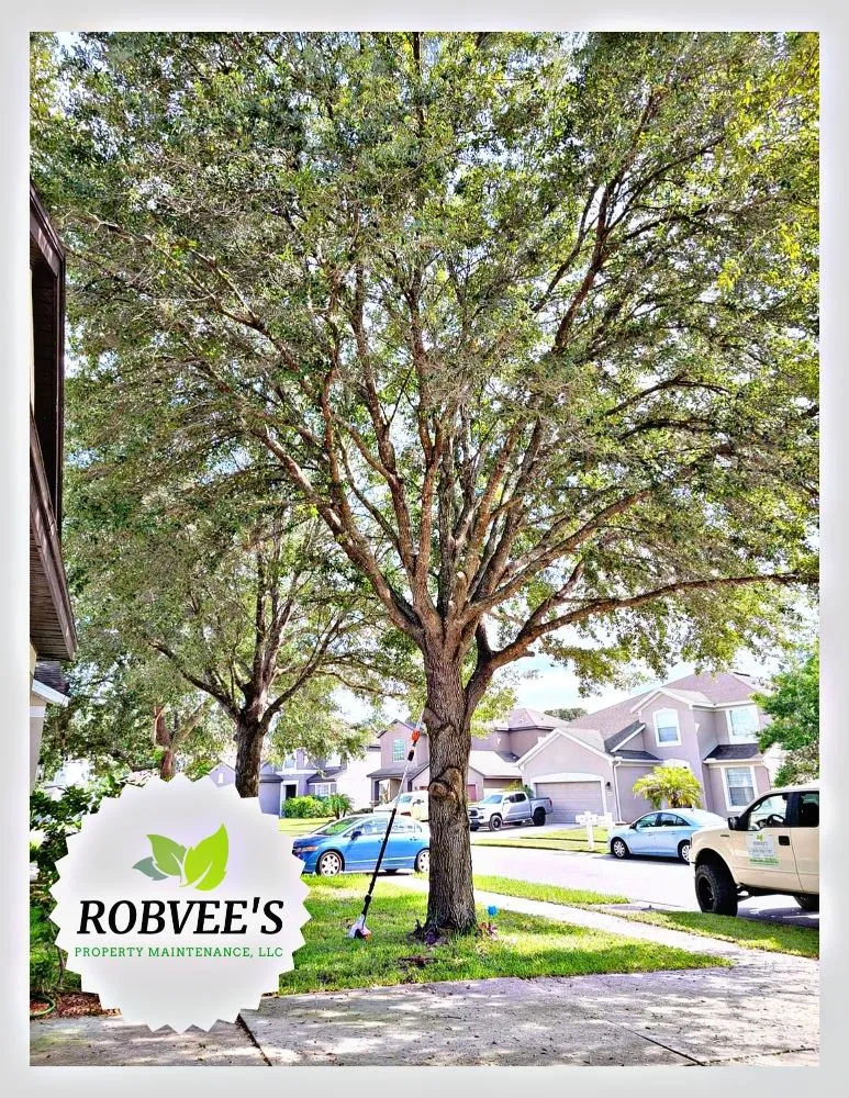 Top-rated landscape installation with custom design in Brooksville, FL by Robvee's Property Maintenance