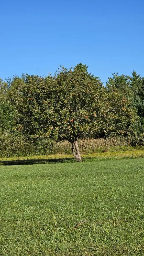 Trusted lawn care service in Topsham, ME by Roby and Tosa Landscaping