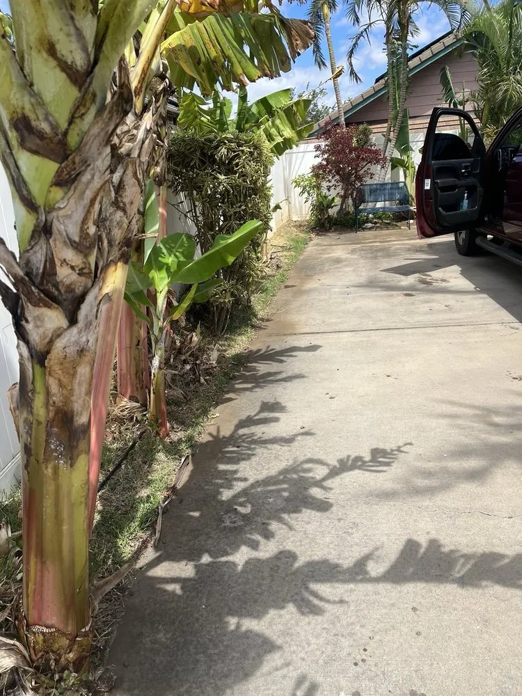 Custom landscape installation experts serving Wailuku, HI - Roby Landscaping