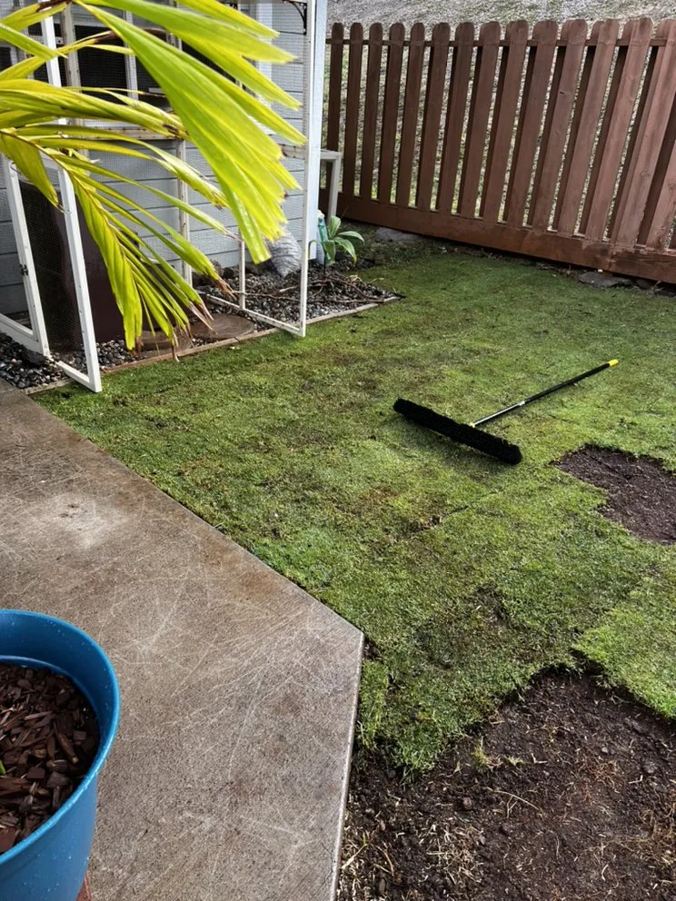 Professional landscaping services for outdoor upgrades in Wailuku, HI by Roby Landscaping