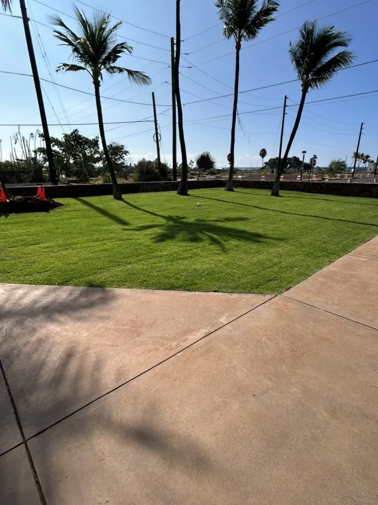 Affordable landscaping services experts serving Wailuku, HI - Roby Landscaping
