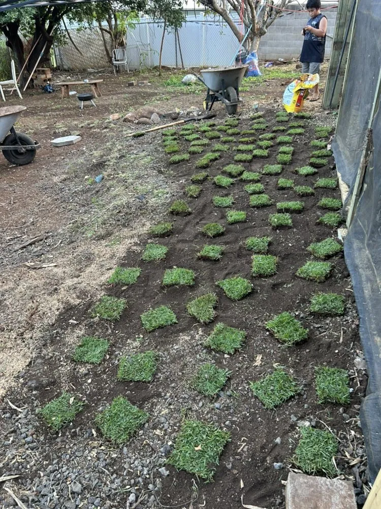 Top-rated lawn mowing service in Wailuku, HI - Roby Landscaping