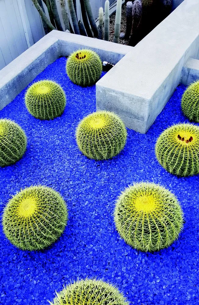 Affordable outdoor landscaping near you in Laguna Niguel, CA by Robyn's Original Landscapes