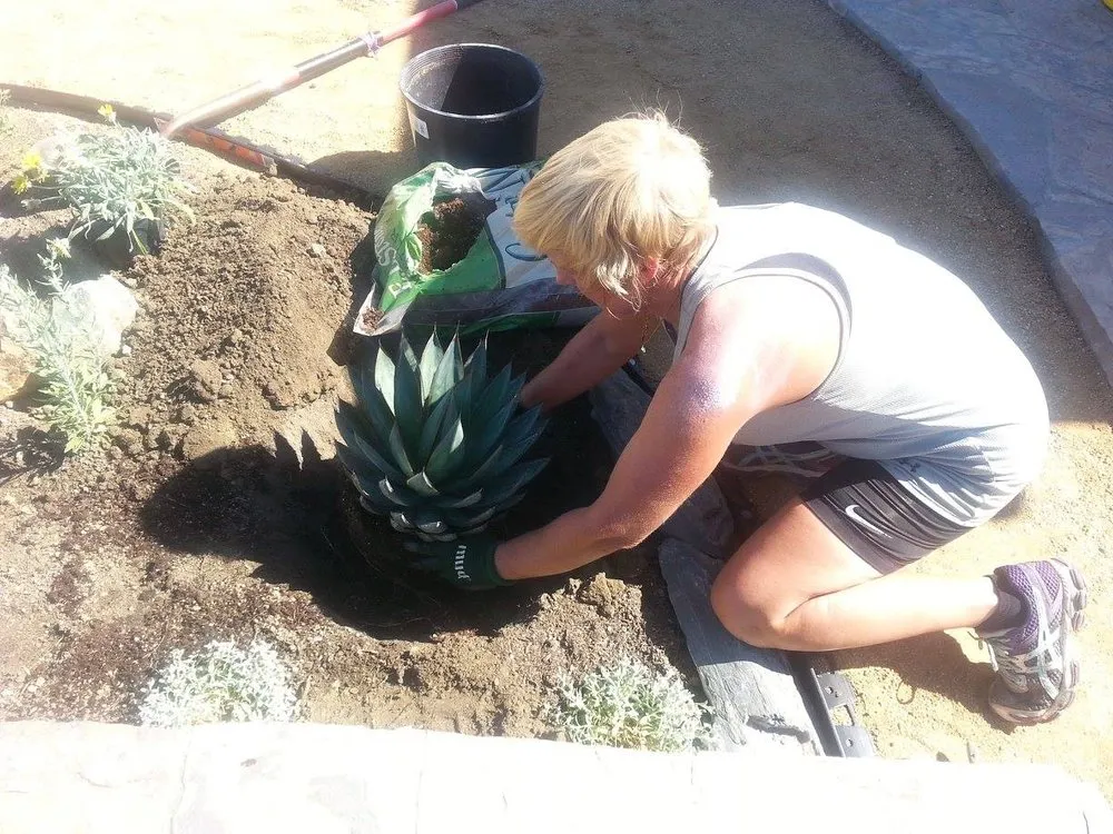 Affordable outdoor landscaping in Laguna Niguel, CA - Robyn's Original Landscapes