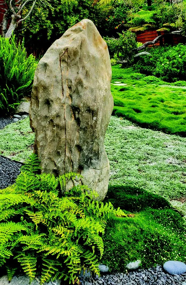 Trusted landscaping services in Laguna Niguel, CA - Robyn's Original Landscapes