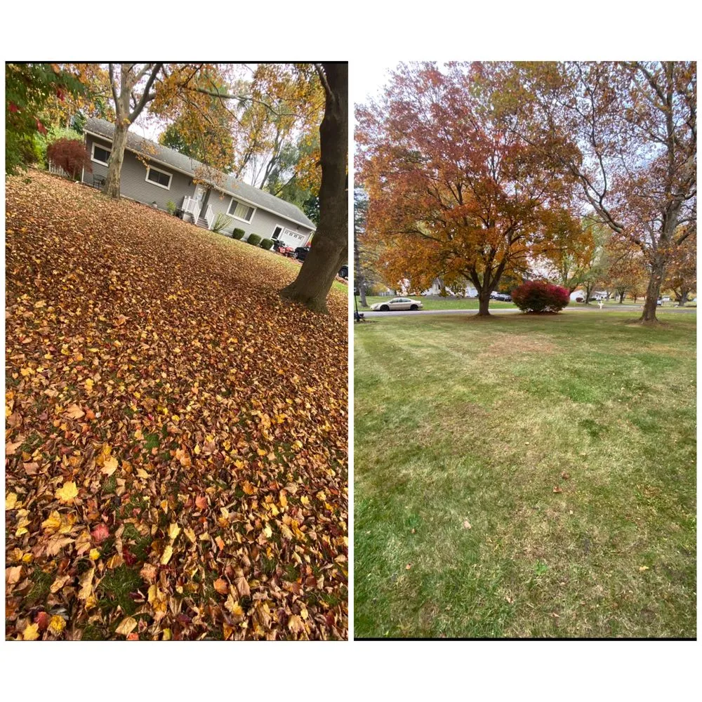 Affordable lawn care service in Rochester, NY by Roc Exterior