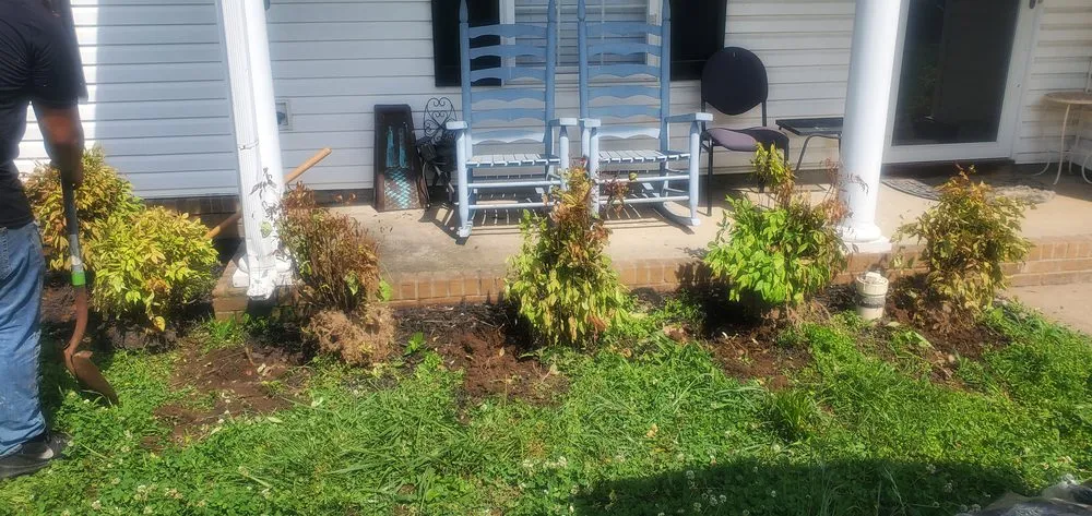 Expert yard cleanup service for residential properties across Murfreesboro, TN - ROC Landscaping