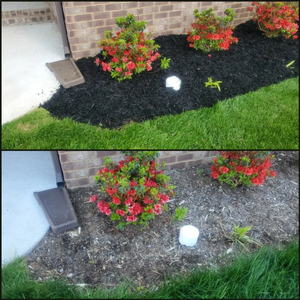 Affordable garden landscaping for year-round maintenance across Murfreesboro, TN - ROC Landscaping