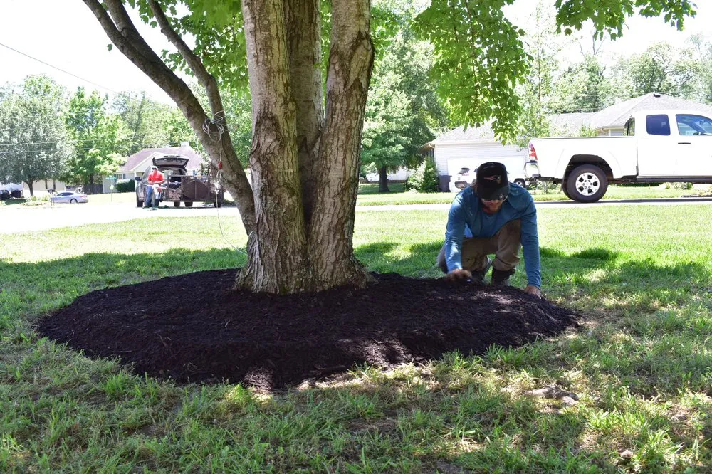 Reliable lawn care service experts serving Murfreesboro, TN - ROC Landscaping