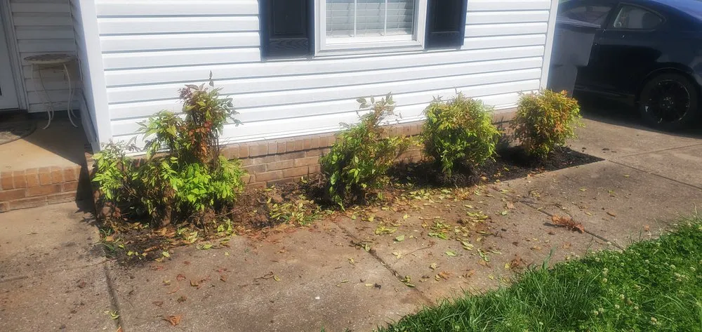 Local yard maintenance experts serving Murfreesboro, TN - ROC Landscaping