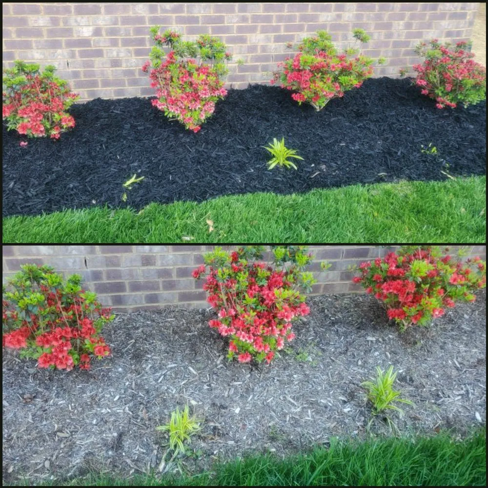 Trusted yard maintenance experts serving Murfreesboro, TN - ROC Landscaping