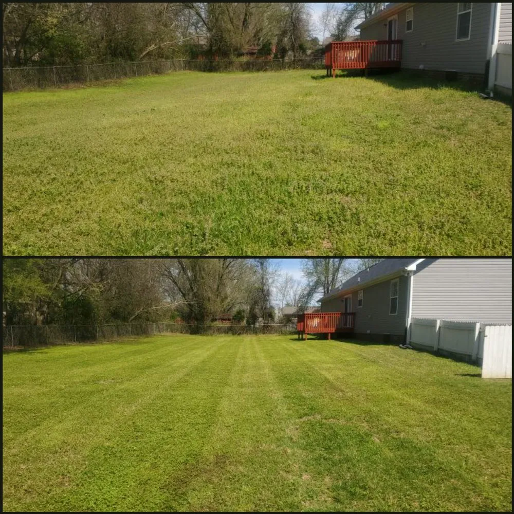 Local yard cleanup service experts serving Murfreesboro, TN - ROC Landscaping
