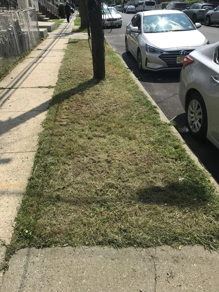 Top-rated residential landscaping in Newark, NJ - Roc N Roll Landscaping