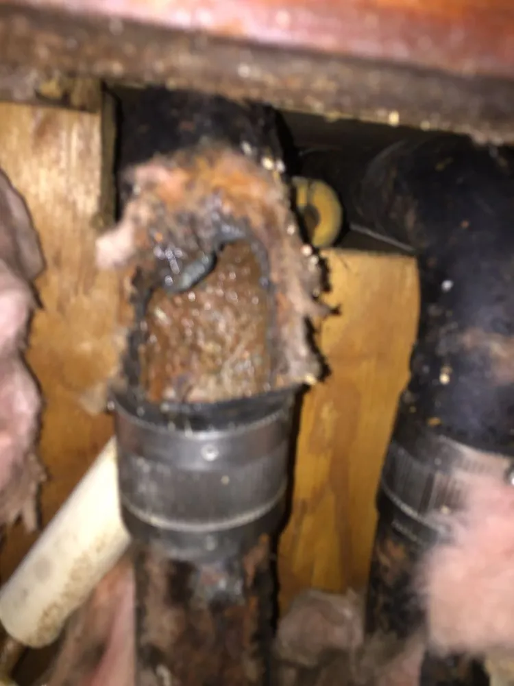 Top-rated yard maintenance experts serving Newark, NJ - Roc N Roll Landscaping