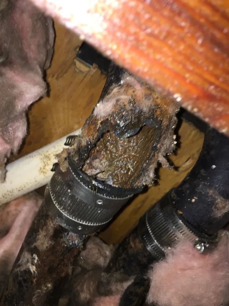 Trusted yard maintenance in Newark, NJ - Roc N Roll Landscaping