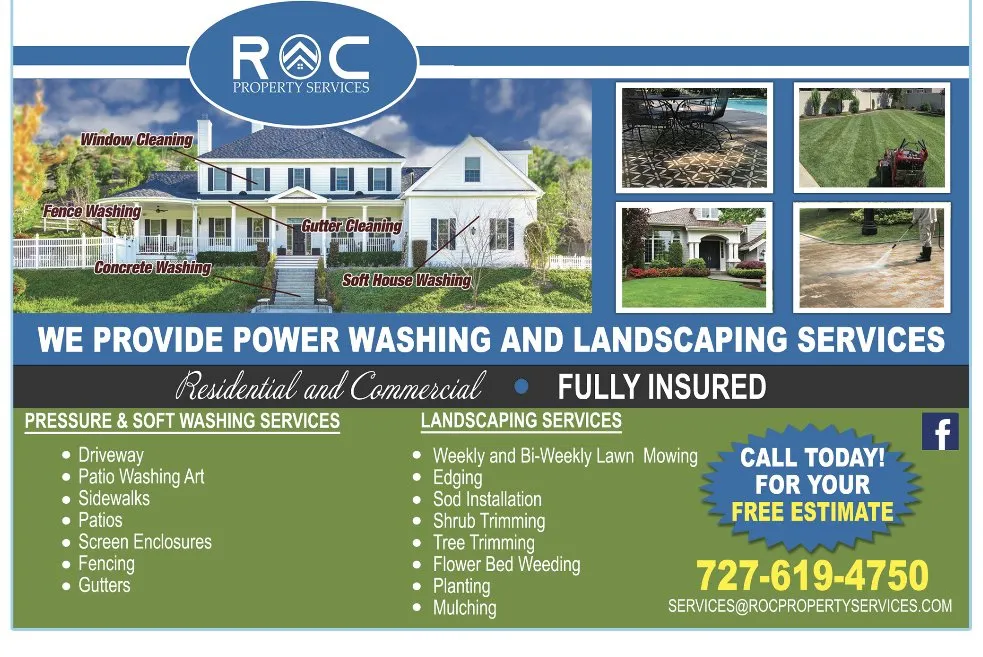 Expert yard cleanup service in Port Richey, FL - ROC Property Services