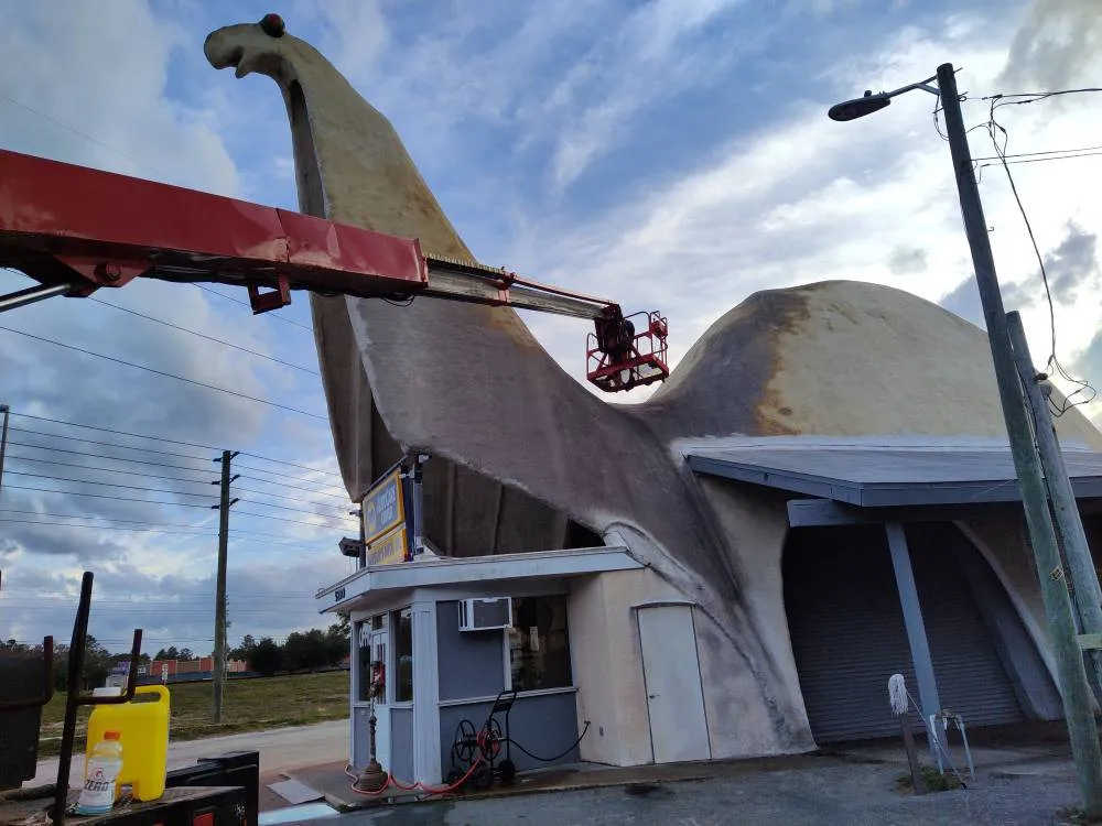 Top-rated landscape design experts serving Port Richey, FL - ROC Property Services