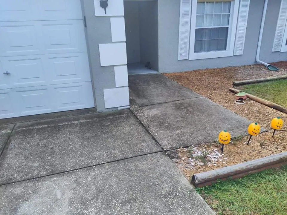 Custom landscaping services for beautiful yards across Port Richey, FL - ROC Property Services