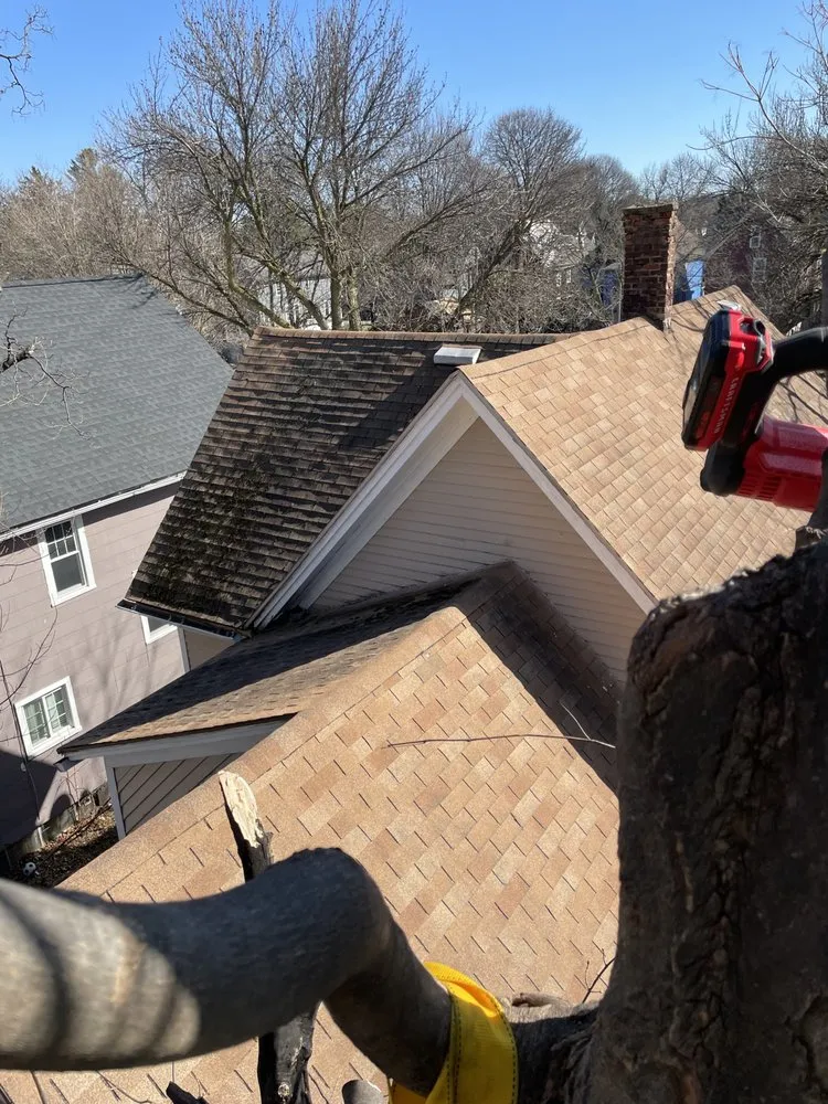 Custom landscape installation in Rochester, NY - ROC Weather Scapes