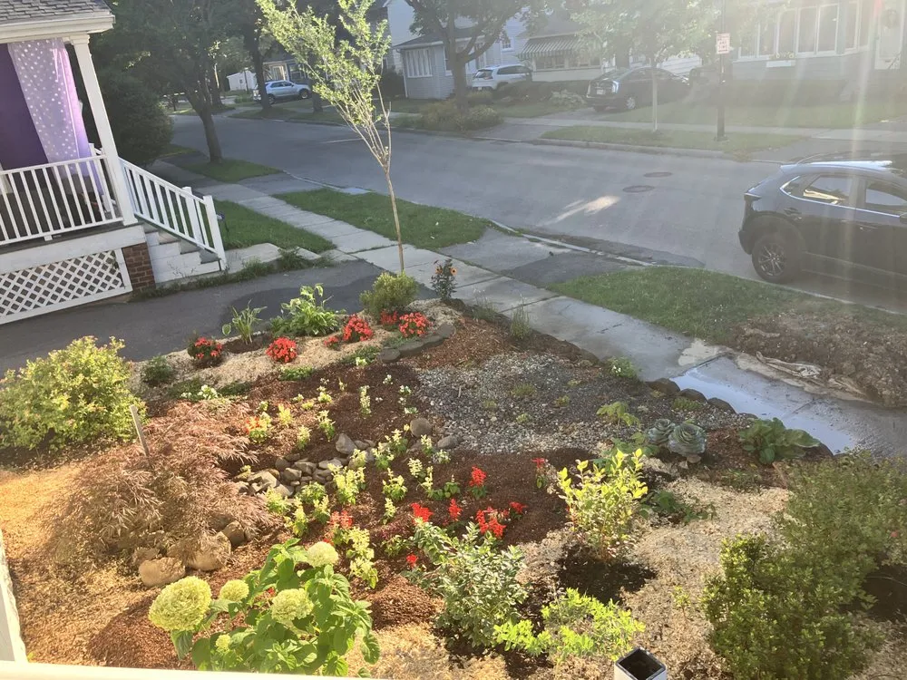Professional yard cleanup service in Rochester, NY by ROC Weather Scapes