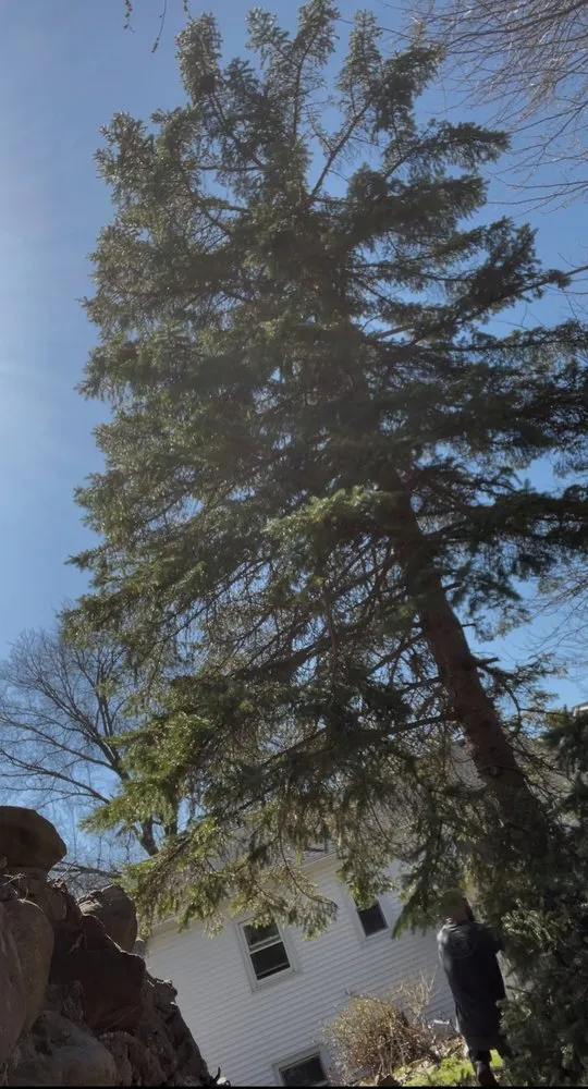 Custom lawn mowing service in Rochester, NY by ROC Weather Scapes