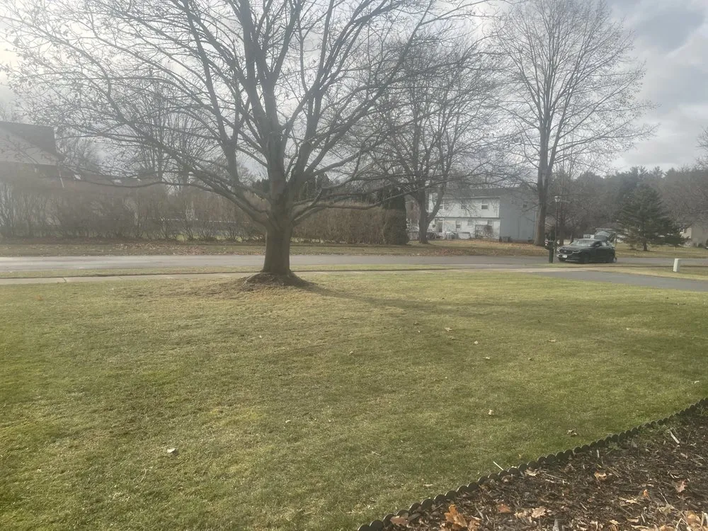 Expert landscape design with custom design across Rochester, NY - ROC Weather Scapes