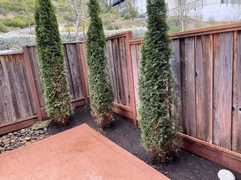 Trusted outdoor landscaping experts serving Berkeley, CA - Roca Fuerte Landscaping