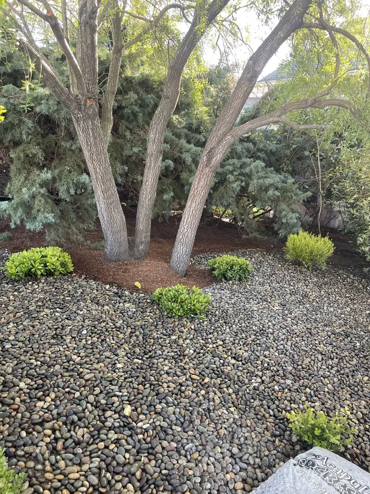 Top-rated landscape design in Berkeley, CA by Roca Fuerte Landscaping