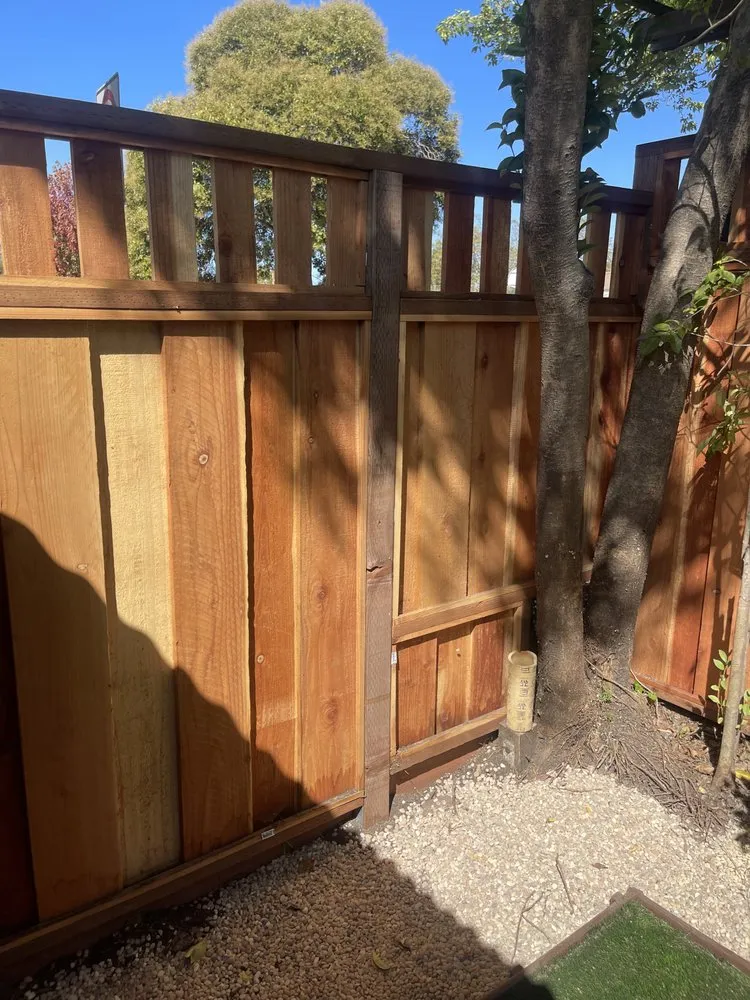 Custom yard cleanup service in Berkeley, CA by Roca Fuerte Landscaping