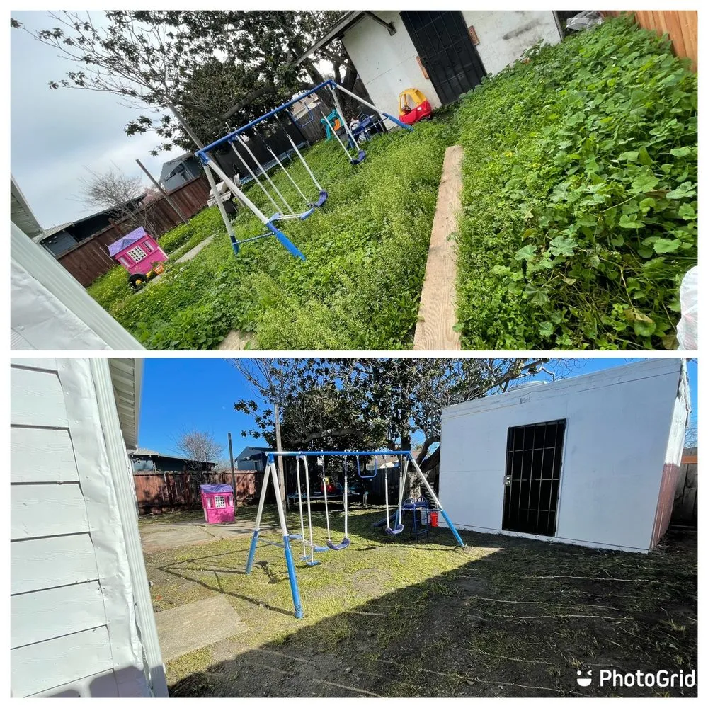 Reliable garden landscaping in Berkeley, CA by Roca Fuerte Landscaping