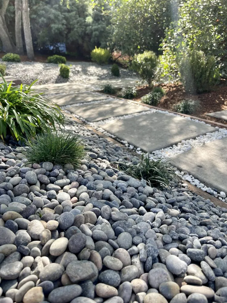 Affordable lawn care service in Berkeley, CA - Roca Fuerte Landscaping
