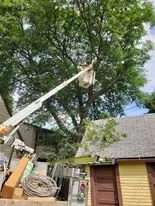 Top-rated lawn mowing service for beautiful yards in Milwaukee, WI by ROCA Landscaping