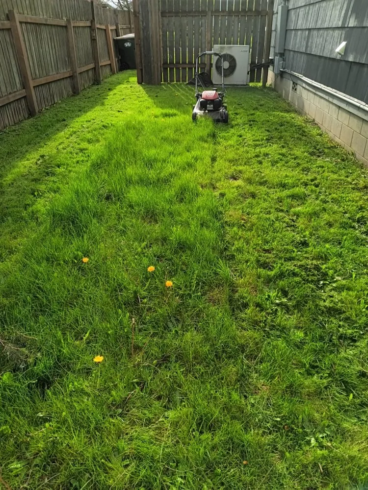 Top-rated landscaping services in Chehalis, WA - Rocael Contractors