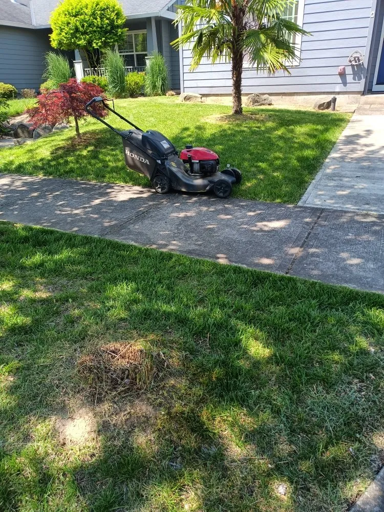 Custom residential landscaping experts serving Chehalis, WA - Rocael Contractors