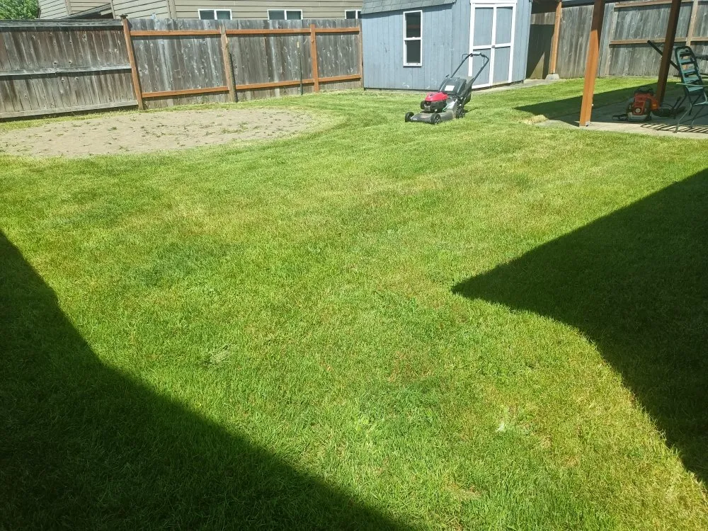 Custom yard maintenance in Chehalis, WA by Rocael Contractors