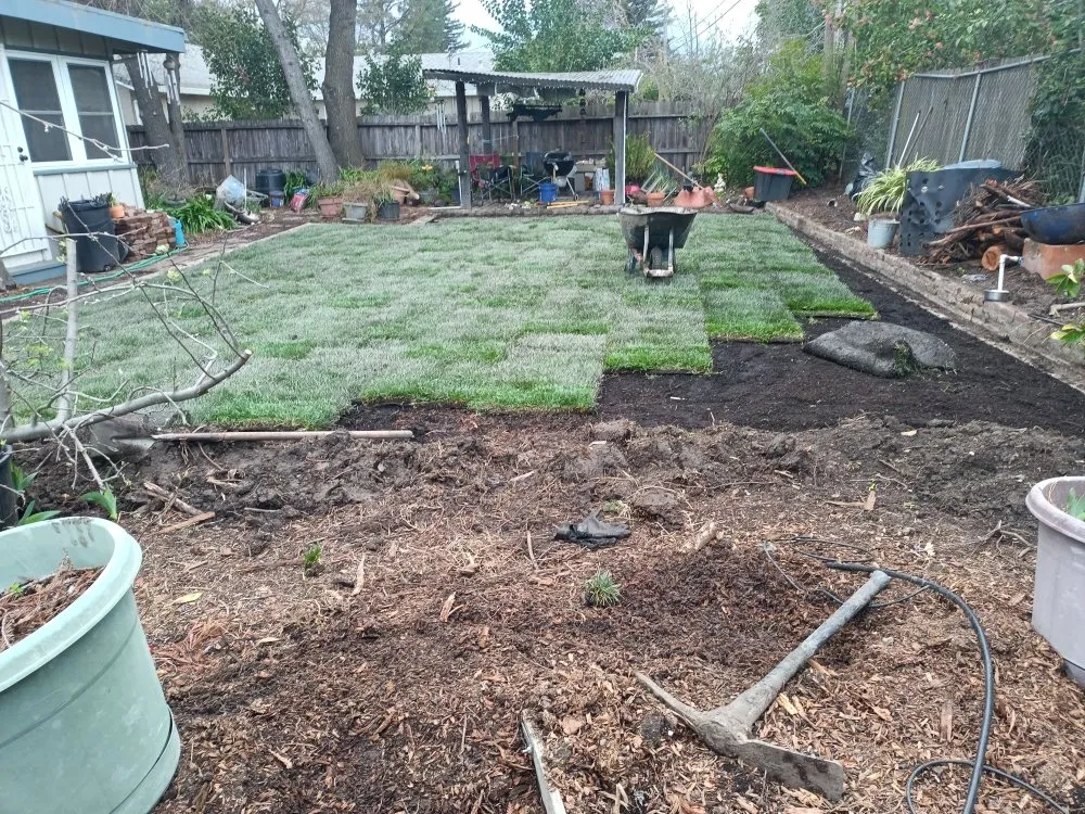 Top-rated yard maintenance in Chehalis, WA - Rocael Contractors