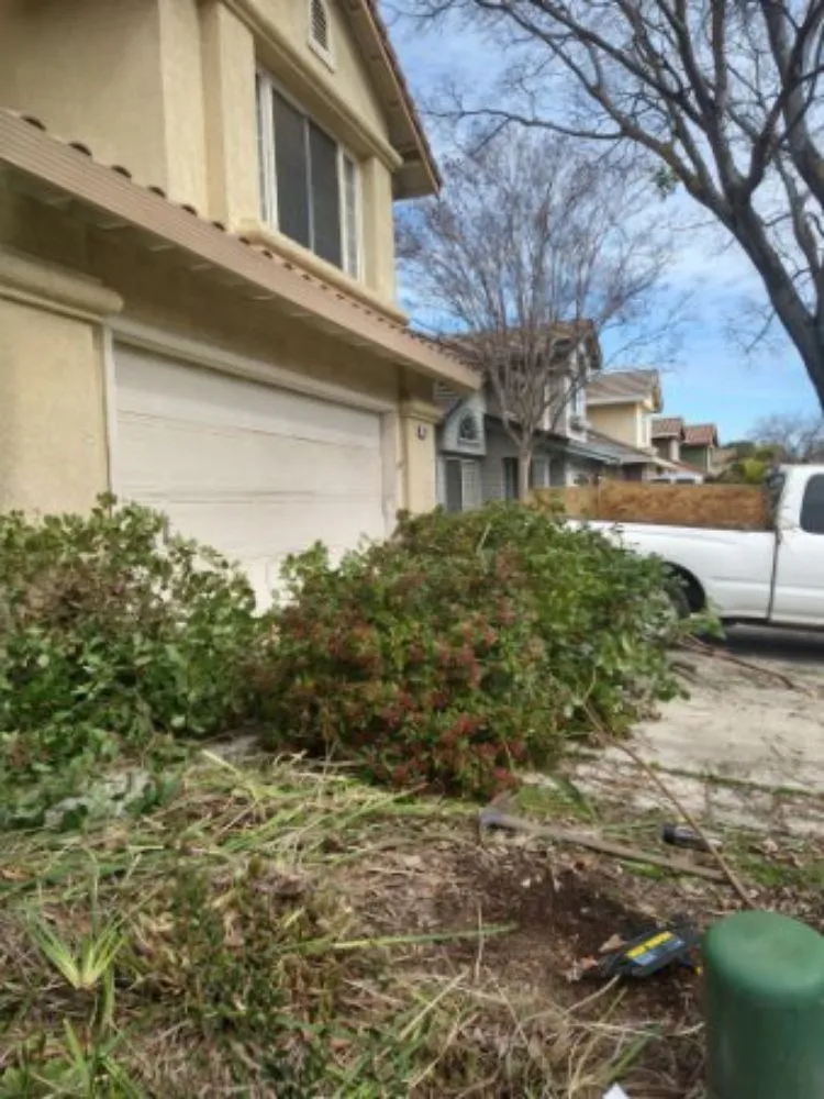 Top-rated landscape design in Chehalis, WA - Rocael Contractors