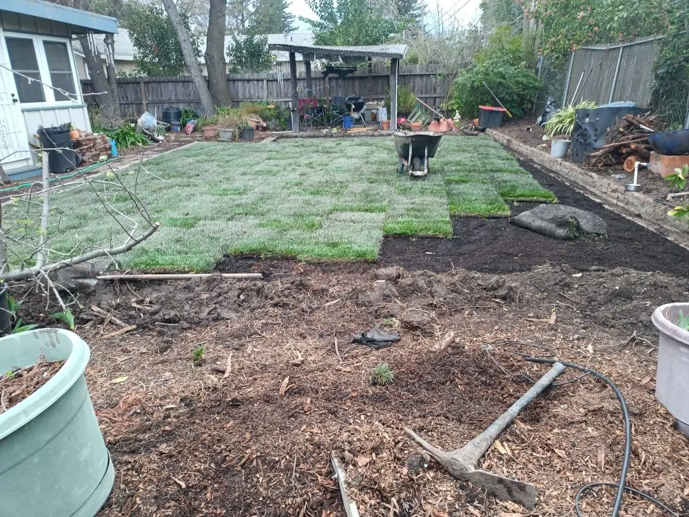 Custom lawn care service experts serving Chehalis, WA - Rocael Contractors
