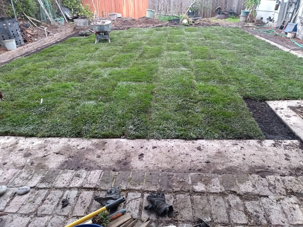 Professional lawn mowing service experts serving Chehalis, WA - Rocael Contractors