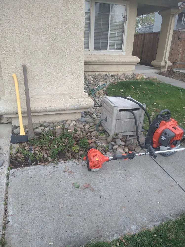 Affordable yard cleanup service experts serving Chehalis, WA - Rocael Contractors