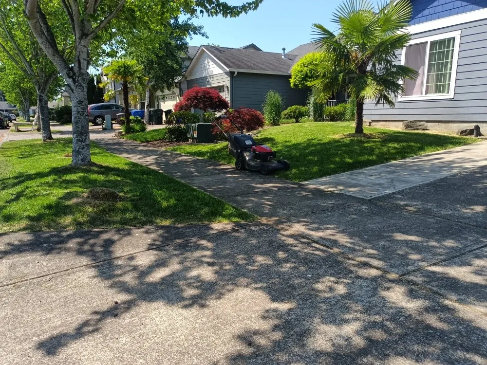 Expert lawn mowing service in Chehalis, WA - Rocael Contractors