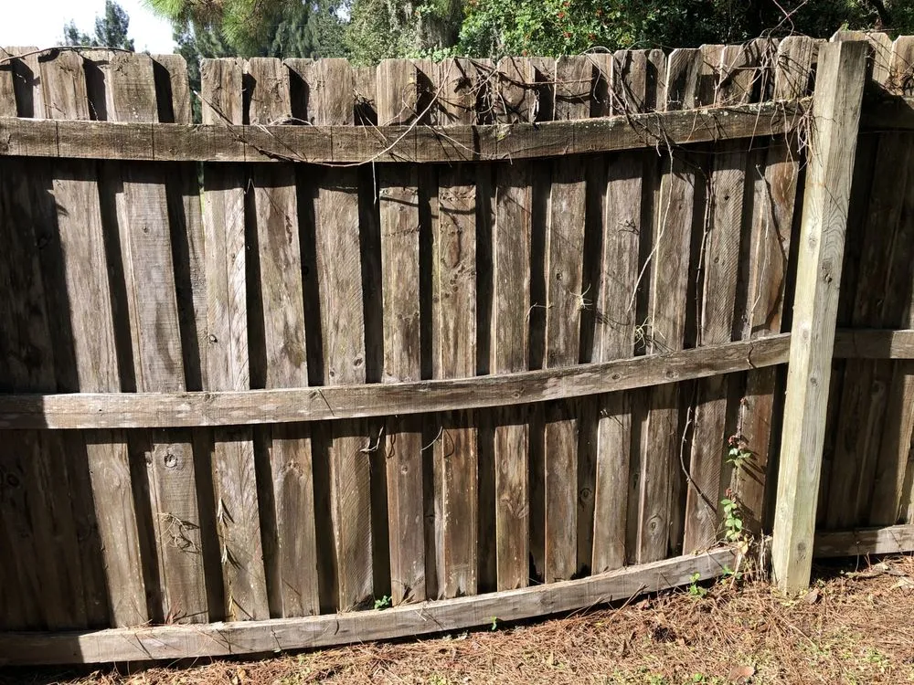 Expert landscape installation in Melbourne, FL - Rocco’s Handyman