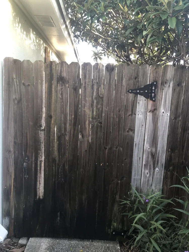 Top-rated landscape design in Melbourne, FL - Rocco’s Handyman