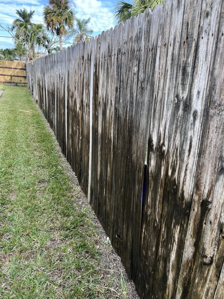 Top-rated garden landscaping in Melbourne, FL - Rocco’s Handyman