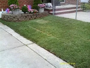 Expert yard maintenance for year-round maintenance across Staten Island, NY - Rocco's Landscaping and Concrete Service