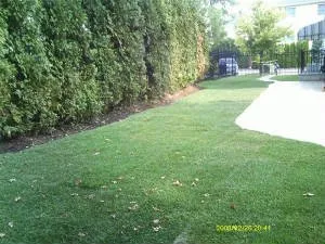 Trusted lawn mowing service in Staten Island, NY - Rocco's Landscaping and Concrete Service