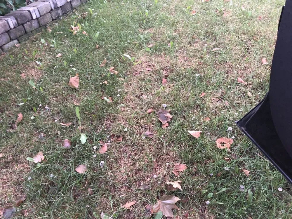 Expert landscape installation experts serving Staten Island, NY - Rocco's Landscaping and Concrete Service